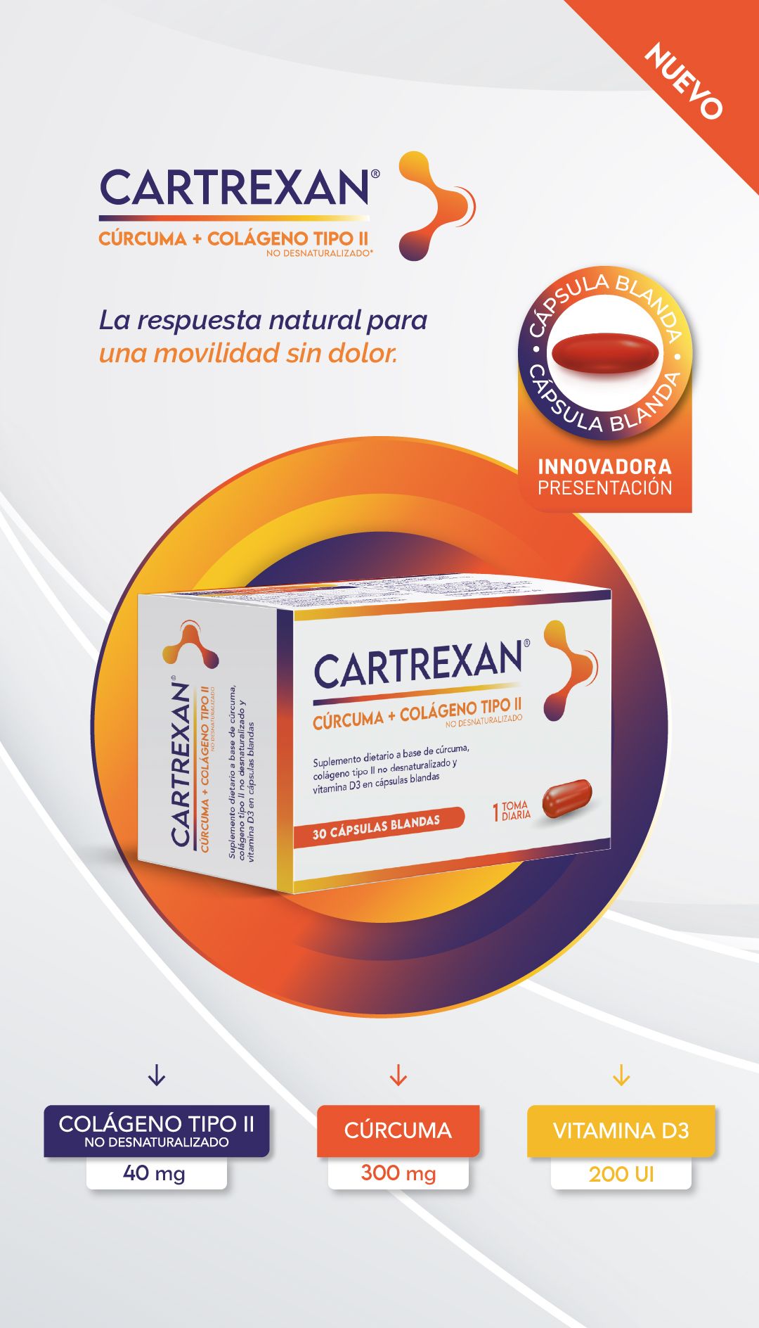 banner-web-cartrexan-mob